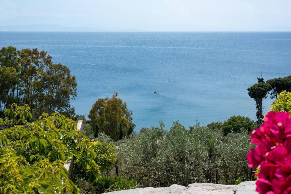Seaside House With View Over Pagasitikos Afissos Bagian luar foto