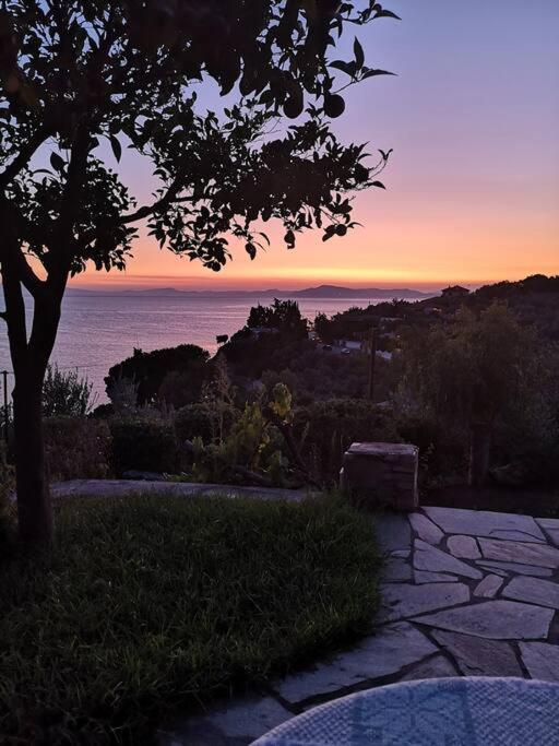 Seaside House With View Over Pagasitikos Afissos Bagian luar foto